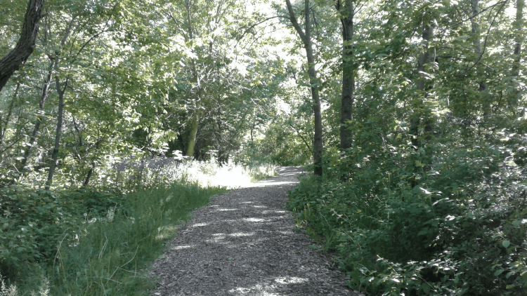 Corfin Memorial Arboretum Trail