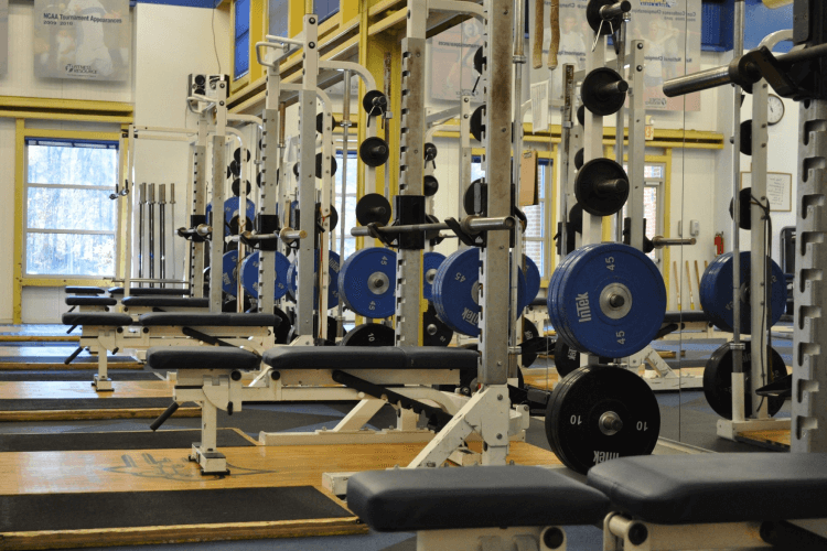 limestone-college_walt-griffin-pe-center_weight-room_facility