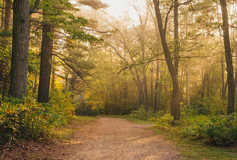 Houghton's Pond XC Trails