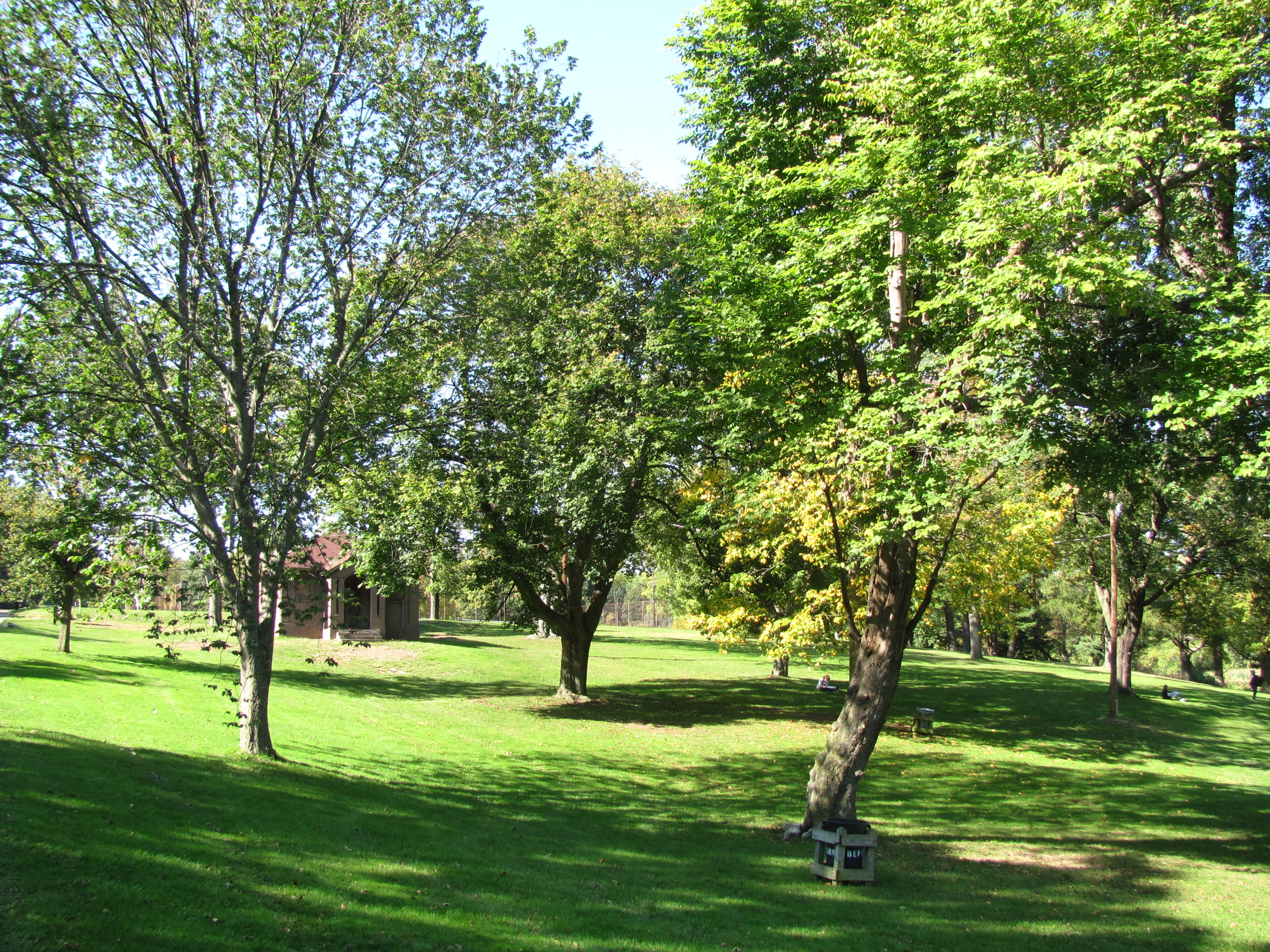 Institute Park XC Trails