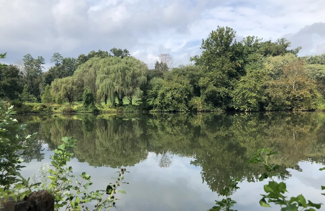 Haverford Nature Trails