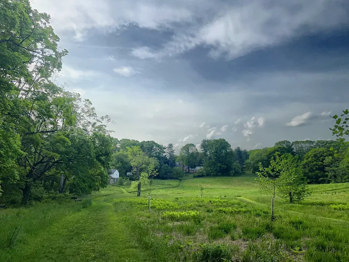 Idlewild Farm Preserve XC Trails