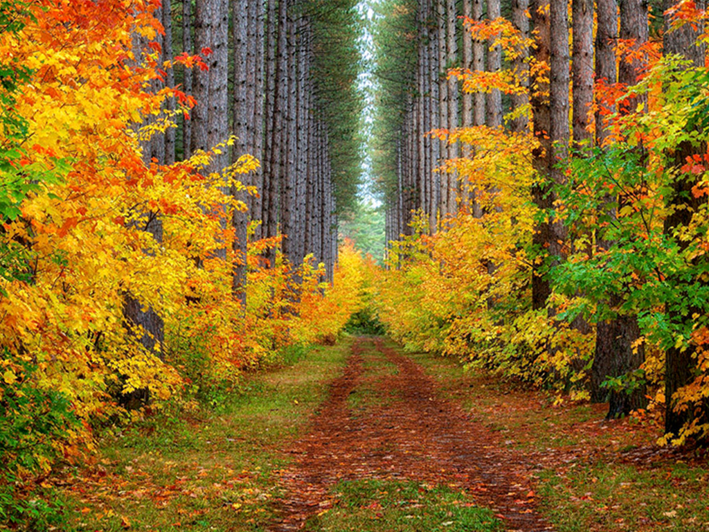 Hiawatha Running Trails