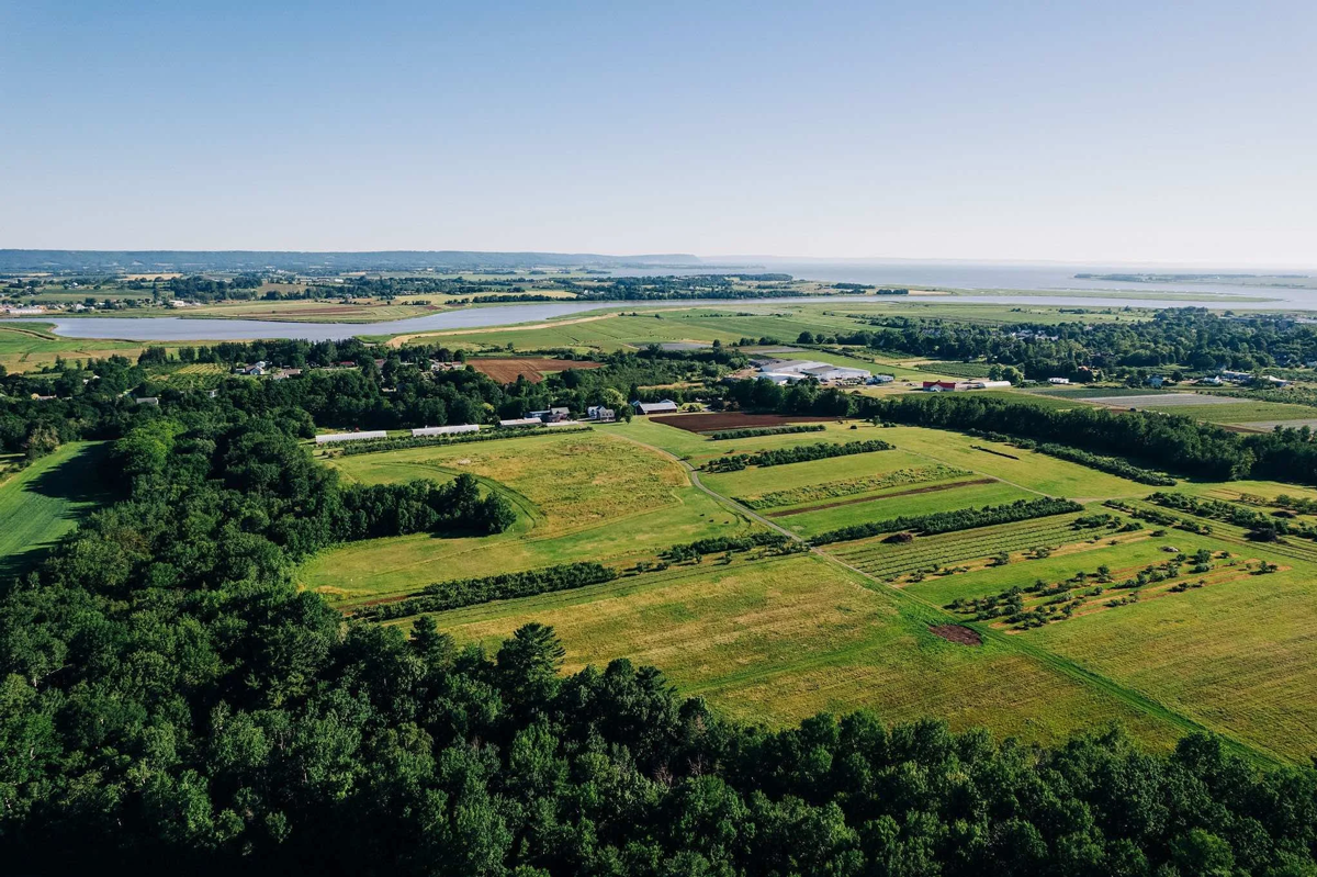 Hennigar's Farm Park XC Course