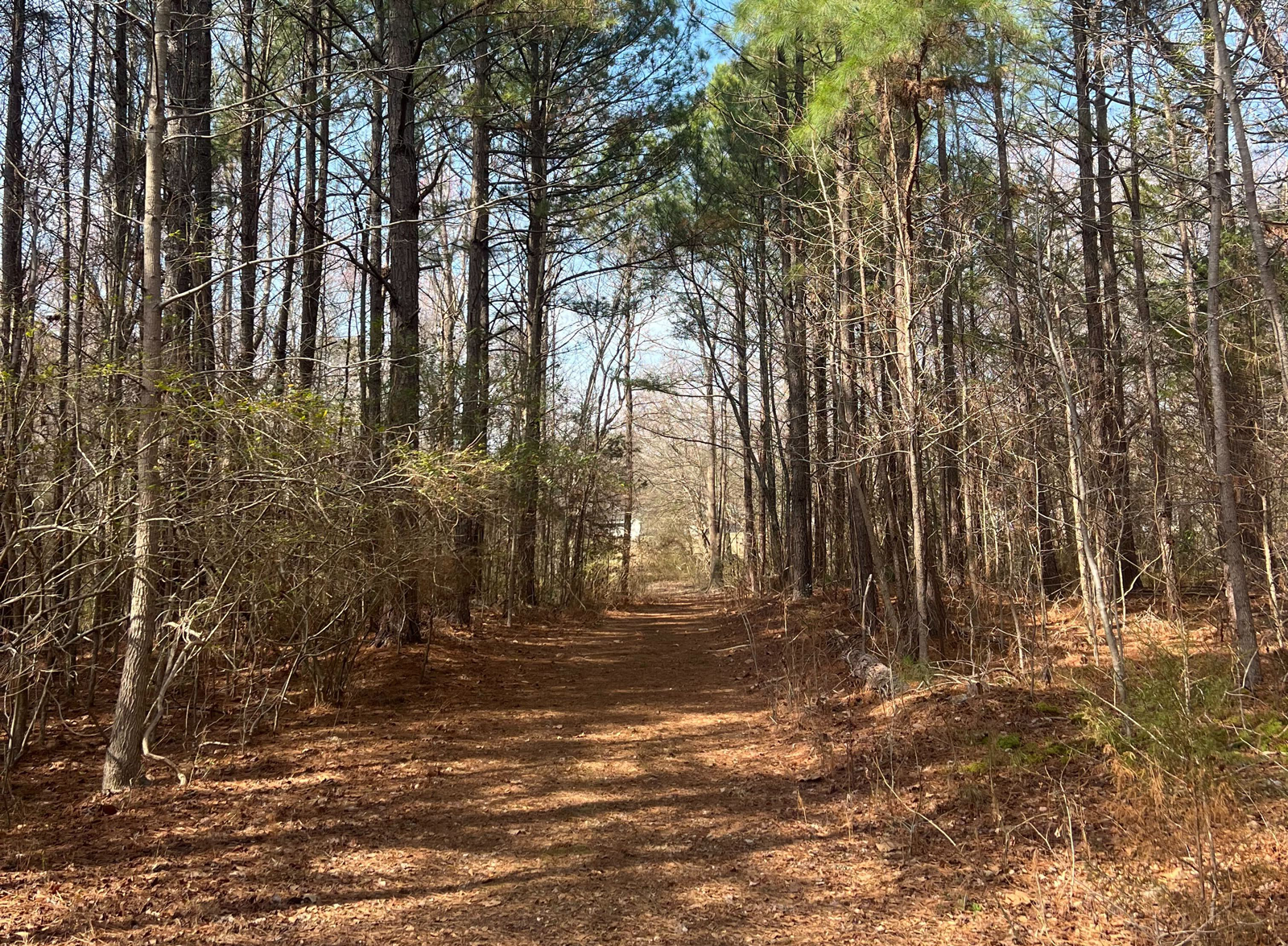 Cross Country Course at the Campbell University Campus