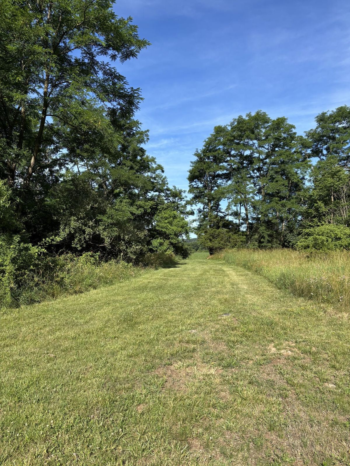 Mount St. Mary's Trails (Grass)