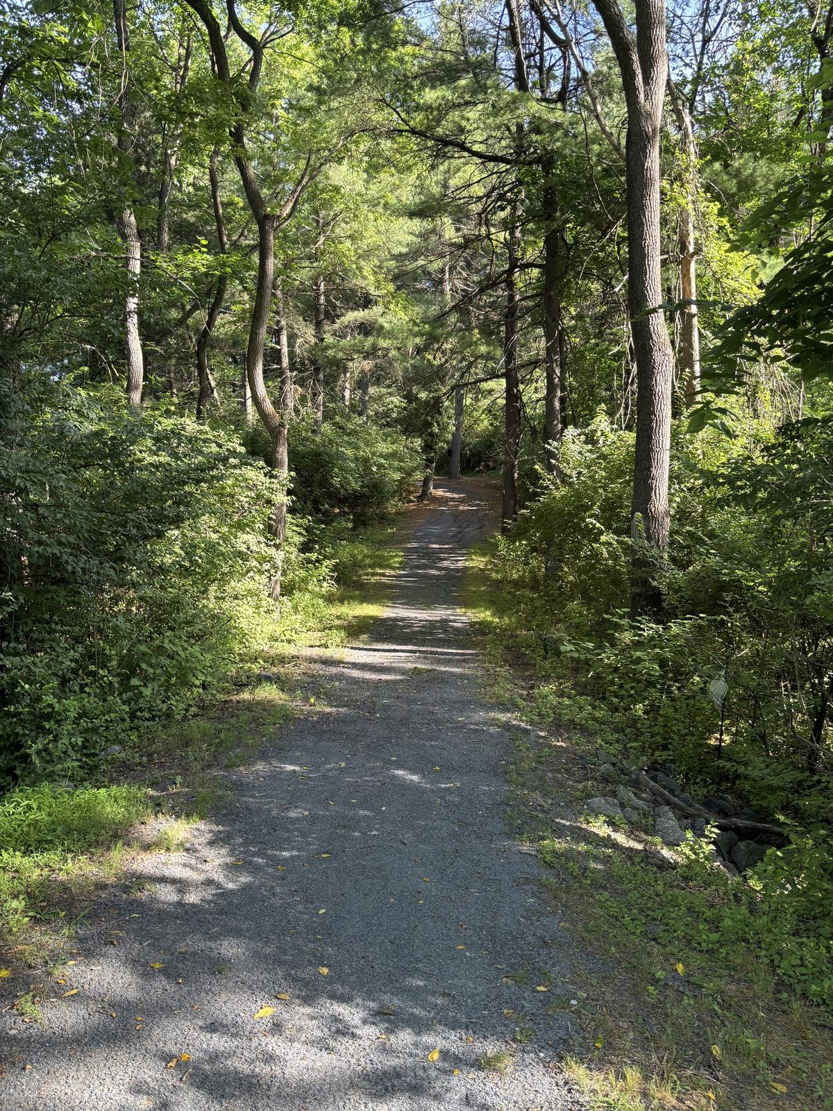 Mount St. Mary's Trails (Forest)