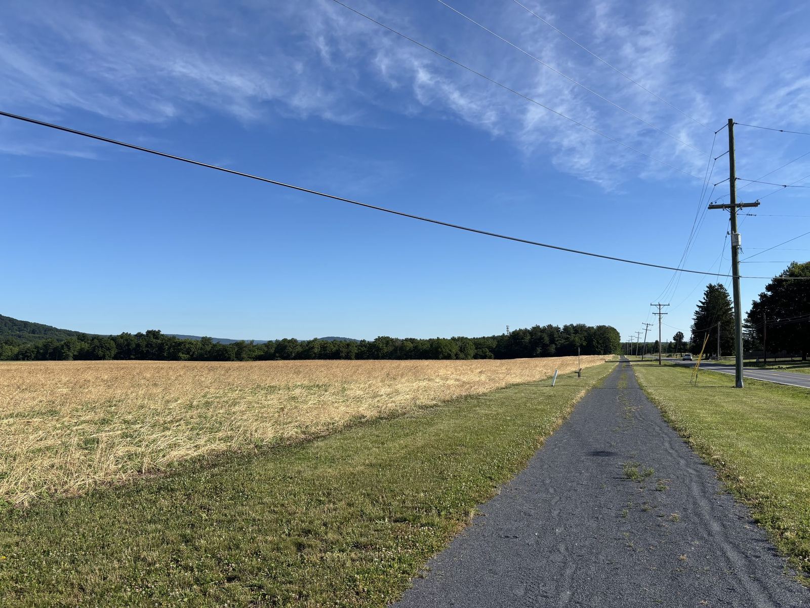 Mount St. Mary's Trails (Gravel)