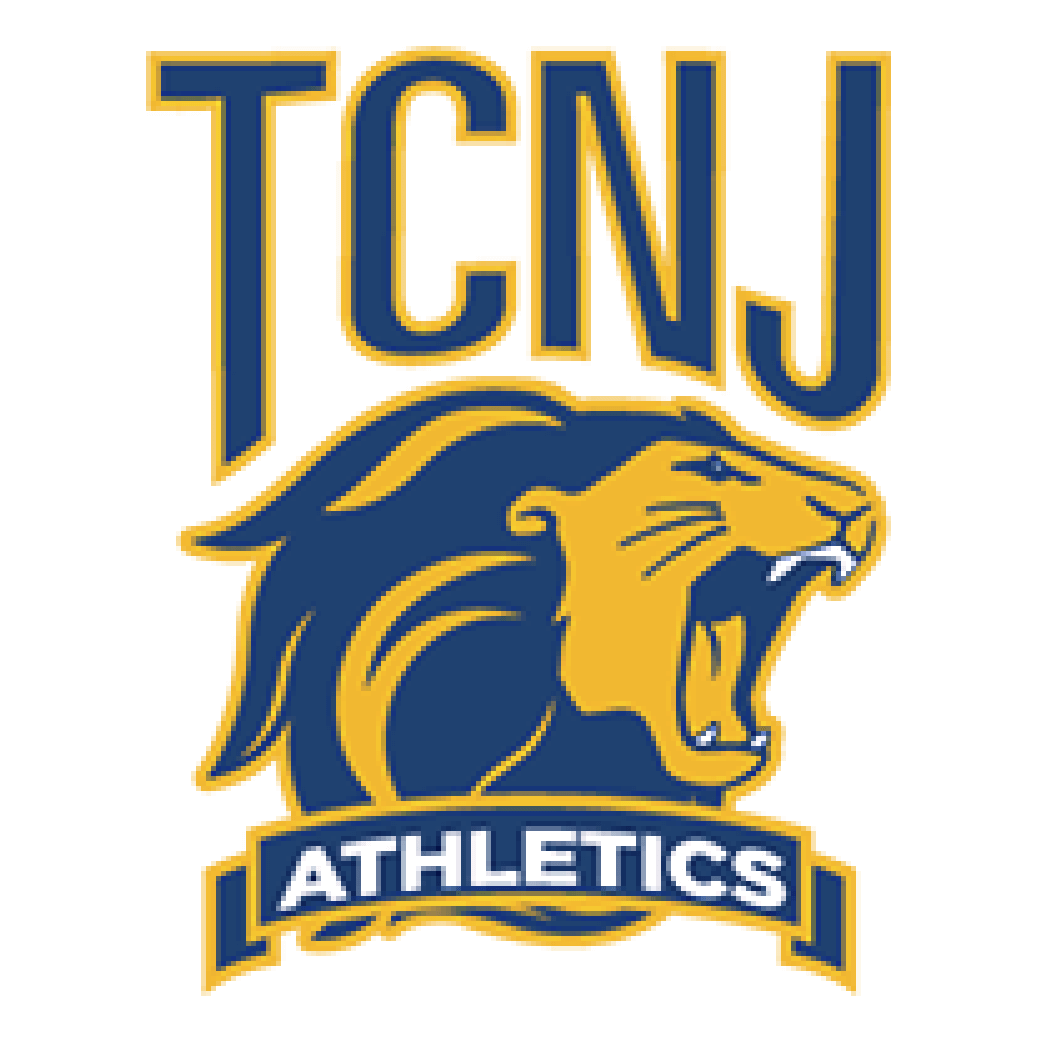 CNJ logo