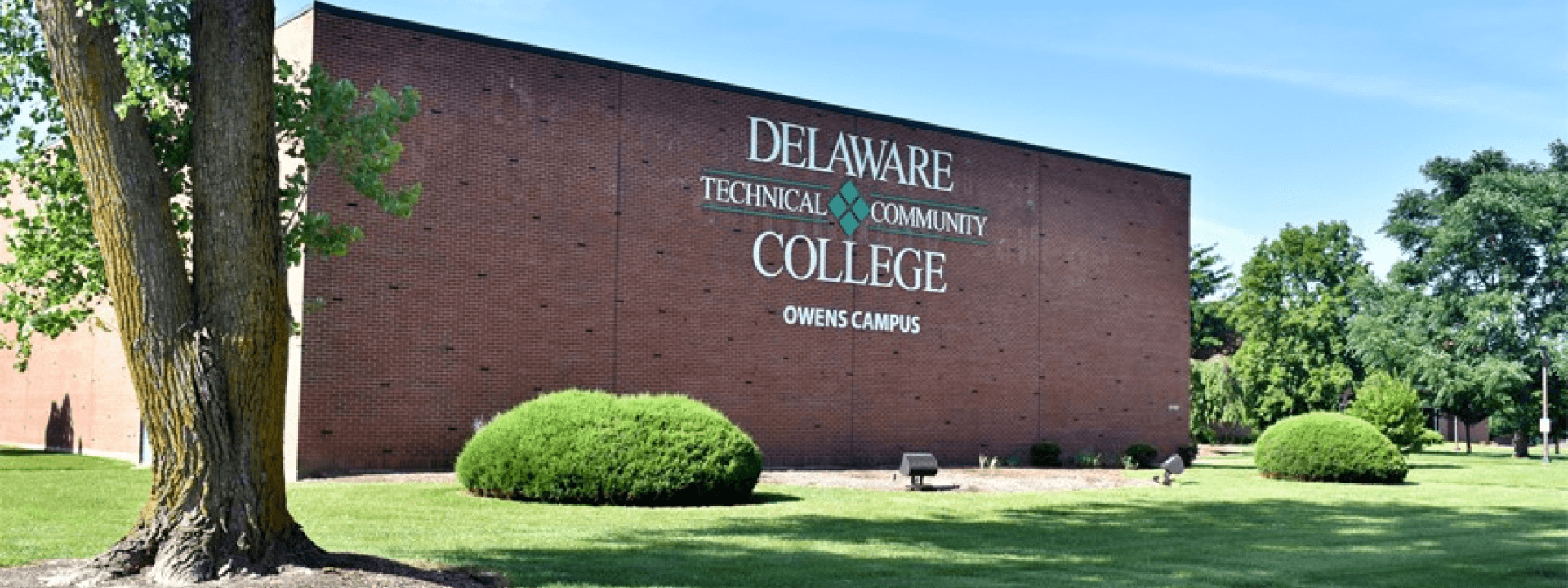 College And University Track Field Teams Delaware Technical 
