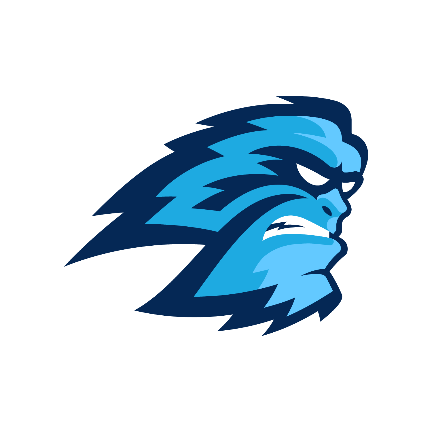 SCC logo