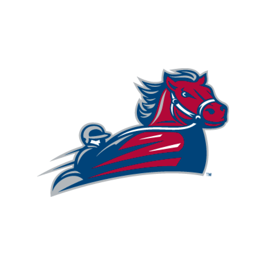 South Carolina Aiken logo