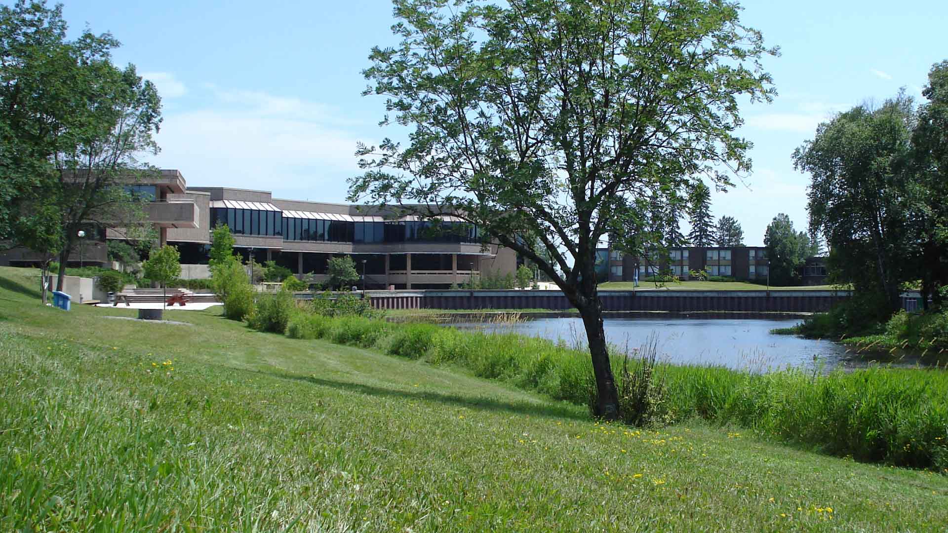 Pond and buildings on Lakehead University campus