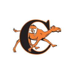 Campbell University
