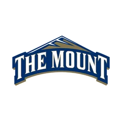 Mount St. Mary's University