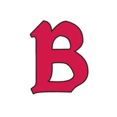 Benedictine University - Illinois