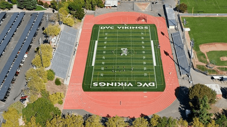 Viking Stadium