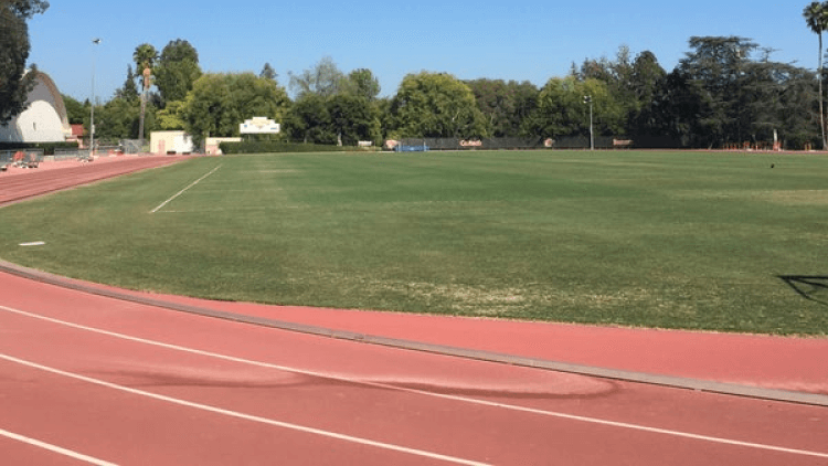 South Field / Fox Stanton Track